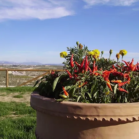 Hotell Atalaya De La Campina 3*