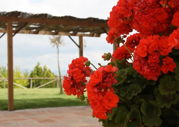 Atalaya De La Campina Hotel La Rambla (Cordoba)