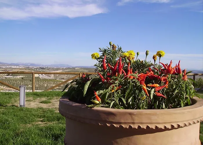 Hotell Atalaya De La Campina 3*