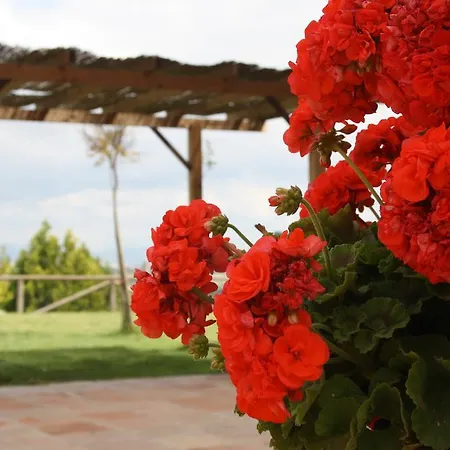 Atalaya De La Campiña Hotel Córdoba